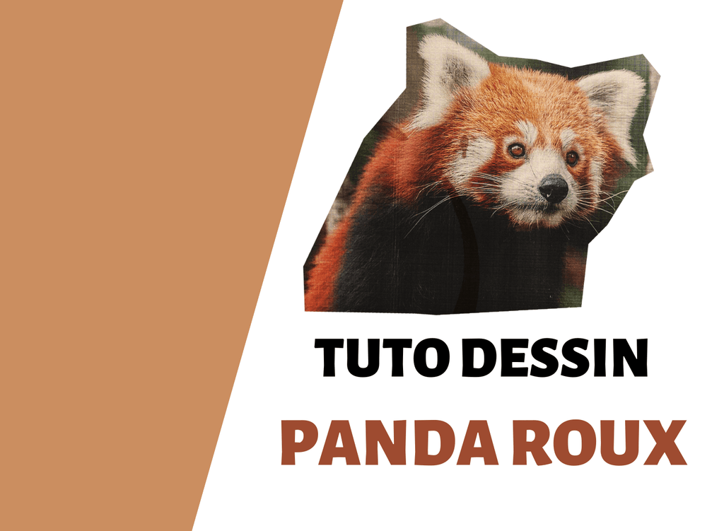 tutoriel dessin panda roux